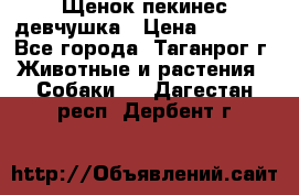 Щенок пекинес девчушка › Цена ­ 2 500 - Все города, Таганрог г. Животные и растения » Собаки   . Дагестан респ.,Дербент г.